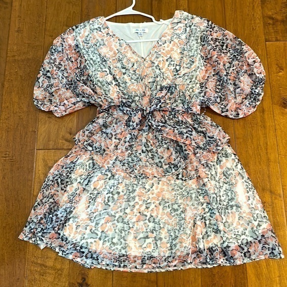 She & Sky V-Neck Coral and Gray Leopard Print Dress - Picture 1 of 8